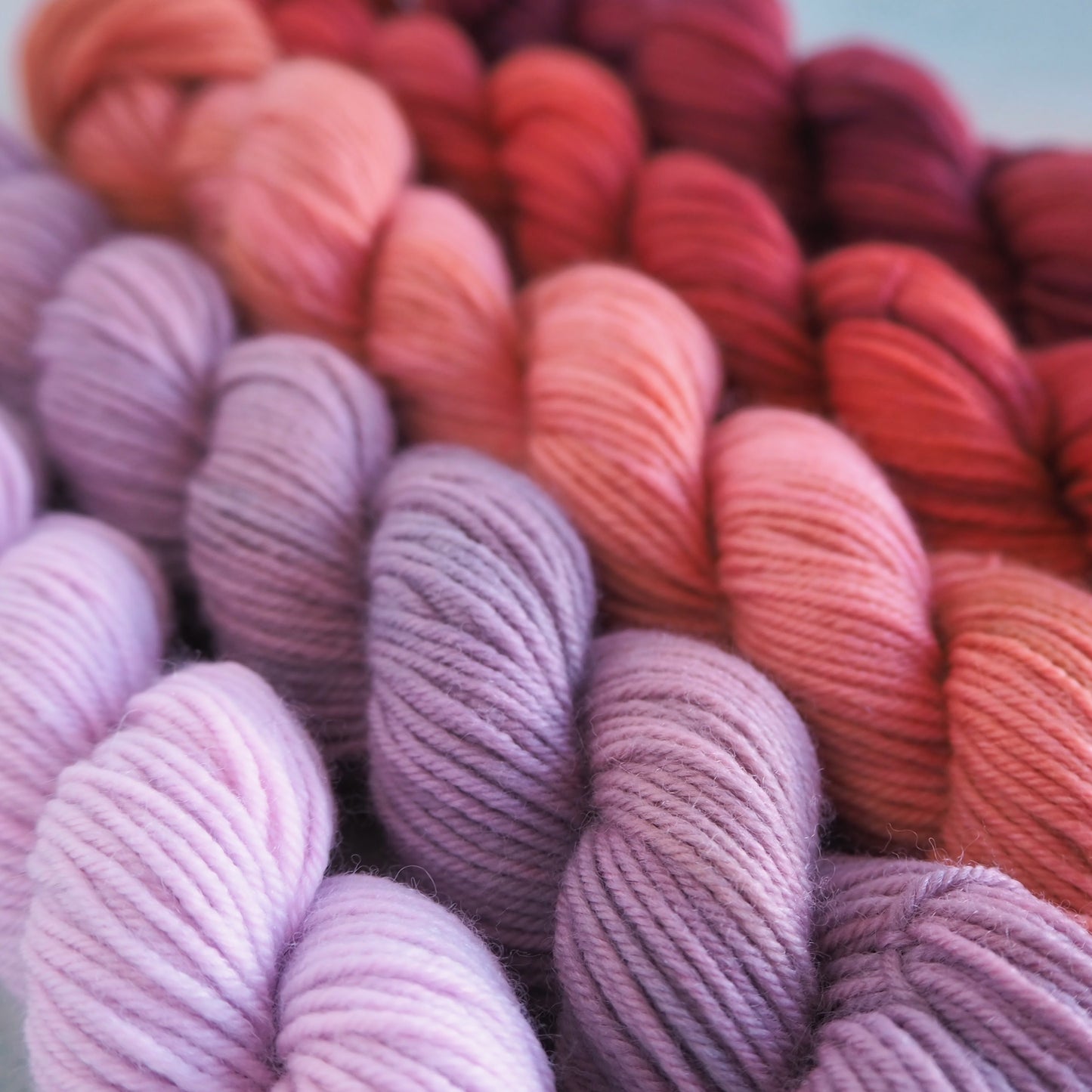 Curio x High Fiber Knits: Autumn Botanicals